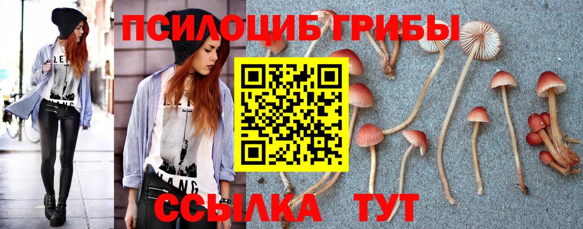 Галлюциногенные грибы MAGIC MUSHROOMS Елец