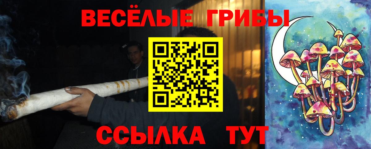 Галлюциногенные грибы Magic Shrooms  Псилоцибиновые грибы GOLDEN TEACHER  Елец  Вход с VPN 